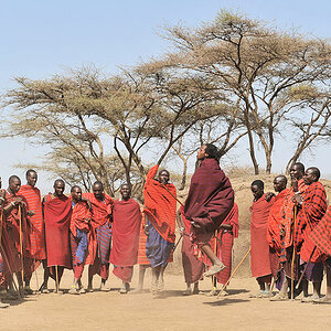 Tanzdarbietung in einen Massaidorf (Boma)
zwischeh Serengeti und Ngorongoro Hochland
3262