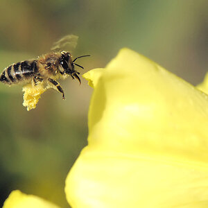 Anflug 2