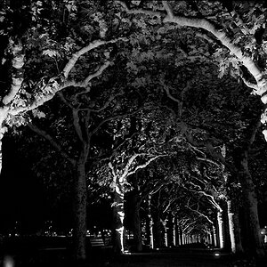 Schatten scan020neu900