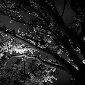 Schatten scan031neu900