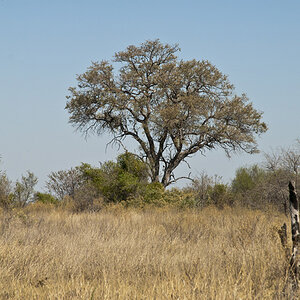 namibia 07