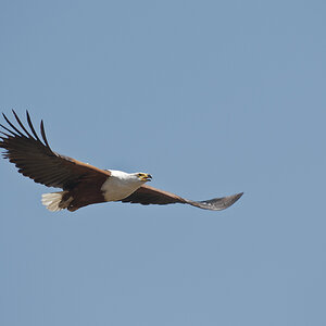 namibia 08