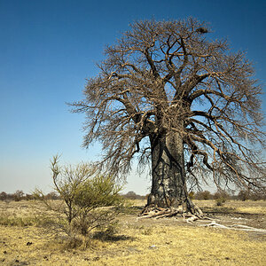 namibia 14