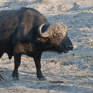 namibia 19