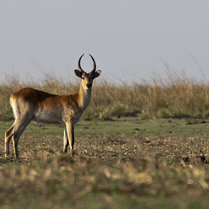 namibia 26