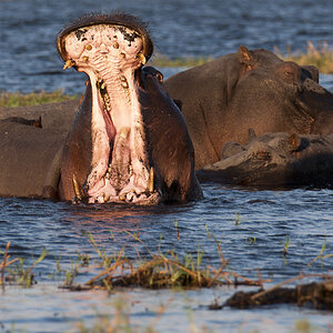 namibia 28