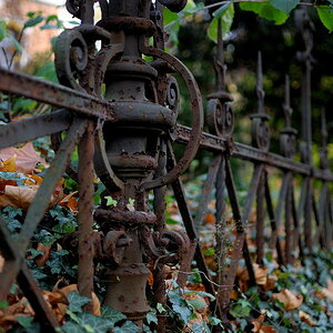 DSC 7395 bearbeitet klein