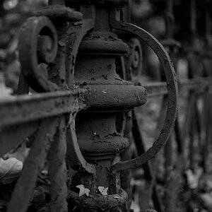 DSC 7397 bearbeitet klein B&W