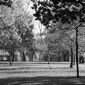Schatten scan014neu900