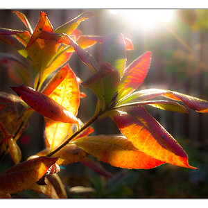 Licht u Schatten 3
