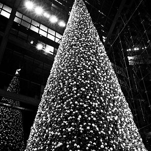 20 Meter Penis - Berliner Hauptbahnhof