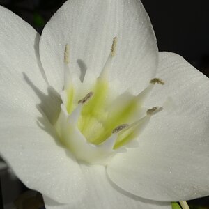 makro 02
