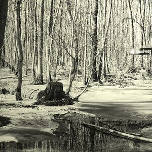 versunkene Welt im Bosauer Wader
Viel Regen und Frost haben den so schönen Weg nur schwer passierbar werden lassen. 
Frühjahr 2011