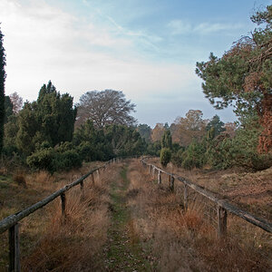 Natur 18