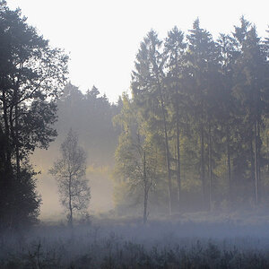 Oheide2