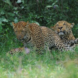 acomp Kenia 20111011 00687