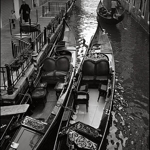 Venedig 2011 65