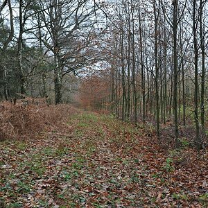 compDSC 3269