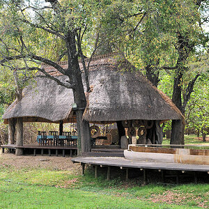 Restaurantgebäude und Pool
im Nkwali Camp, South Luangwa
6223