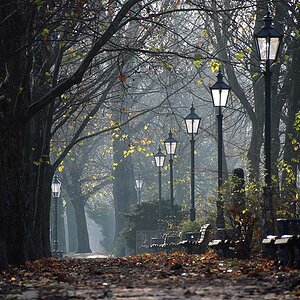 herbstlich