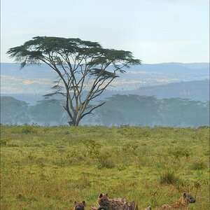 acomp Kenia 20111012 04680