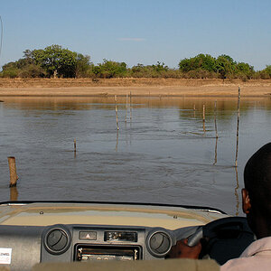 s925 Luangwa 3258