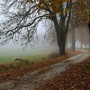 2011111013285333