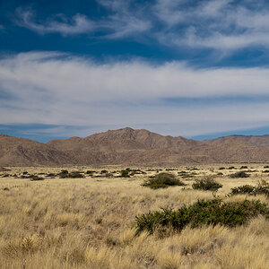 namibia 81