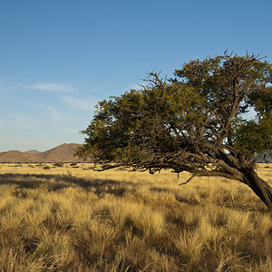 namibia 84