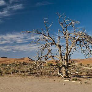 namibia 89