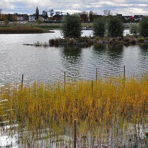 Uferlinie links