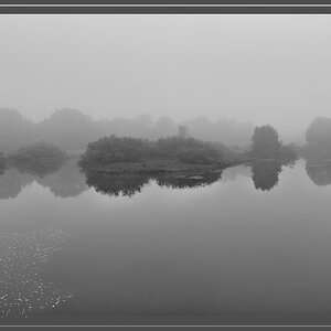 Nebel