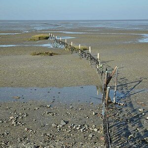 Watt bei Greetsiel