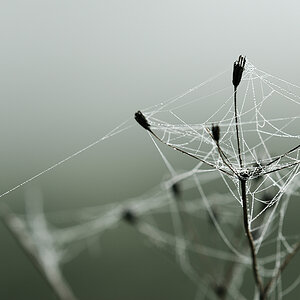 Fragile