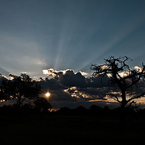 2012 Botswana-Sambia Fotoreise / Workshop mit Stefano Levi