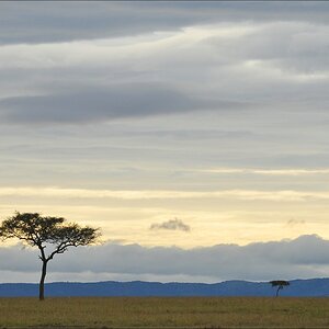 acomp Kenia 20111014 07822