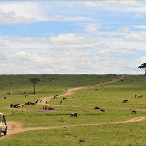 acomp Kenia 20111015 12225