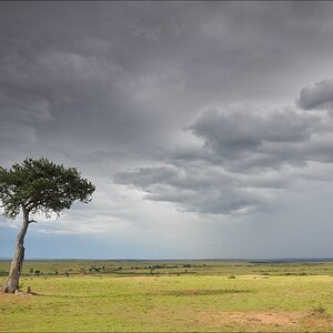 acomp Kenia 20111020 26875