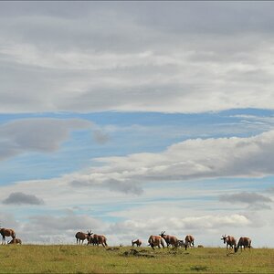 acomp Kenia 20111015 11996