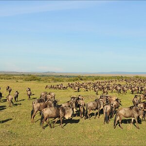 acomp Kenia 20111016 14192