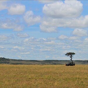 acomp Kenia 20111016 14327