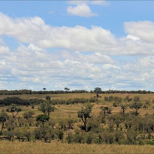 acomp Kenia 20111016 14331