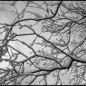 Winter1