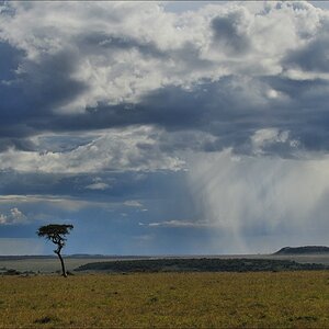 acomp Kenia 20111016 15190a