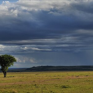 acomp Kenia 20111016 15295