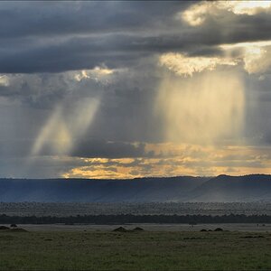 acomp Kenia 20111016 15316