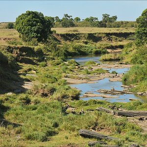 acomp Kenia 20111018 19455