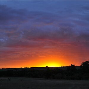 acomp Kenia 20111018 20684a