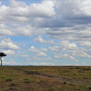 acomp Kenia 20111018 20727