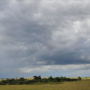 acomp Kenia 20111018 20730